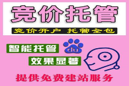 某电商平台信息流广告运营实战案例